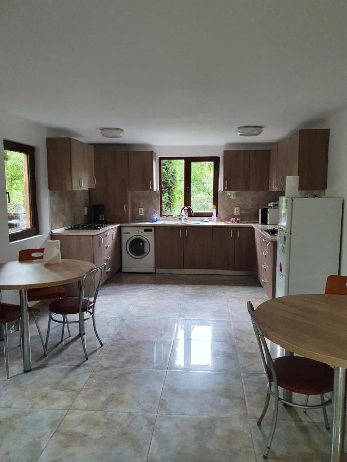 Daiana Residence Cabane Torda Kültér fotó