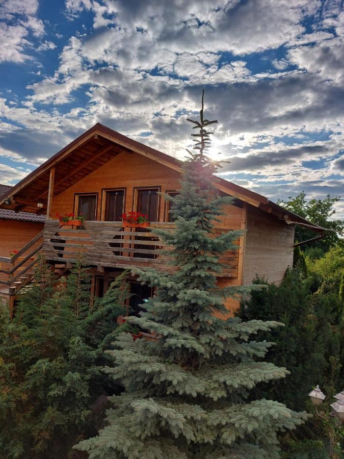 Daiana Residence Cabane Torda Kültér fotó