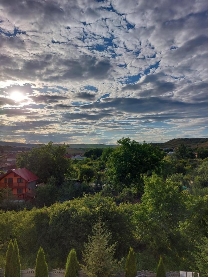 Daiana Residence Cabane Torda Kültér fotó